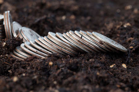 American quarter dollar coins are smeared into the soil, Agricultural activity conceptの写真素材