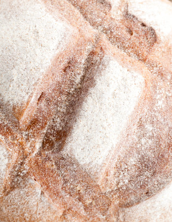Fresh bread crust sprinkled with flour, food
