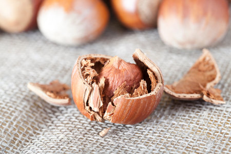 Shells on hazelnuts, lying on a linen tablecloth