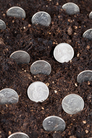 American money growing sticking out of the fertile soil