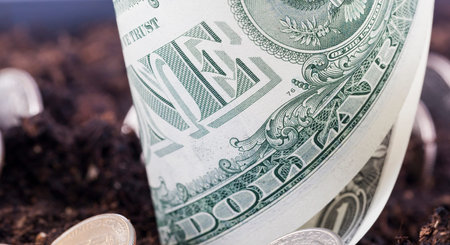 American money growing sticking out of the fertile soil