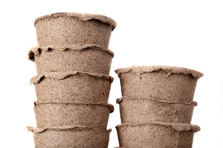 Paper small pots designed for growing seedlings in agricultural activitiesの写真素材