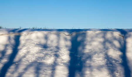 snow photographed in the winter season, which appeared after a snowfall , close-up, Shadows of trees in the snowの写真素材