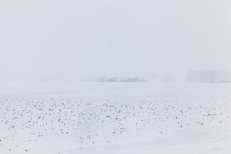 snow photographed in the winter season, during a big snowfall that was photographed in the form of white dots, you can barely see houses in the background in the backgroundの写真素材