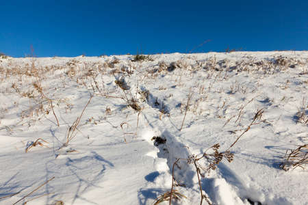 photographed snow after a snowfall during a frost. Close-up with a shallow depth of fieldの写真素材
