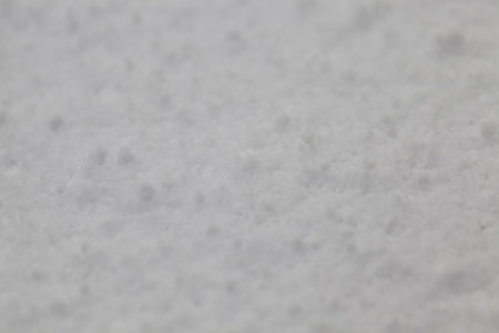 territory covered with snow in the winter season. Photo taken in close-up
