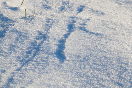 Snow drifts in winter