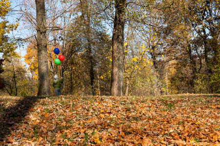 beautiful boy with a red, green and blue balloon in the autumn season, sunny bright weather in early autumn, the joyful mood of the childの写真素材