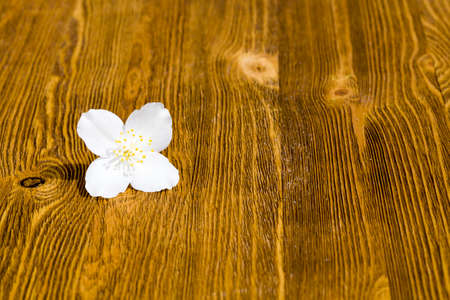 white beautiful Jasmine flower with a pleasant strong aroma, lying on an old wooden tableの写真素材
