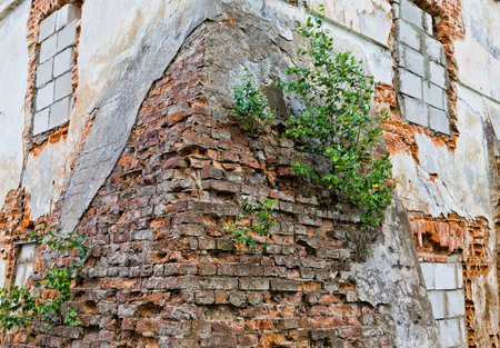 partially destroyed old brick wall, made of red clay bricks, parts of the building between the...