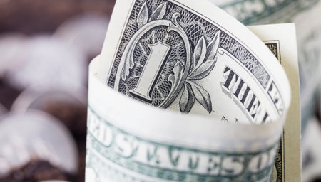 cash American banknotes - dollars lie in paper disposable pots for seedlings, close-up agriculture,...