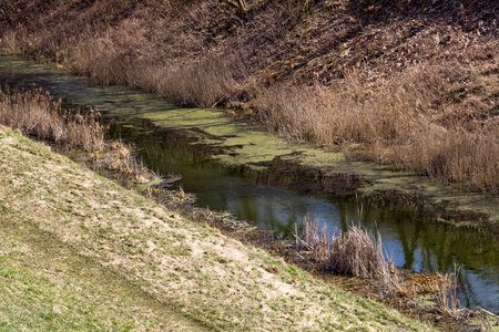 small and narrow creek with a fast flow of water, part of the creek and its details