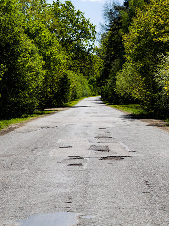 old paved leaky road in the forest, poor quality and without repair