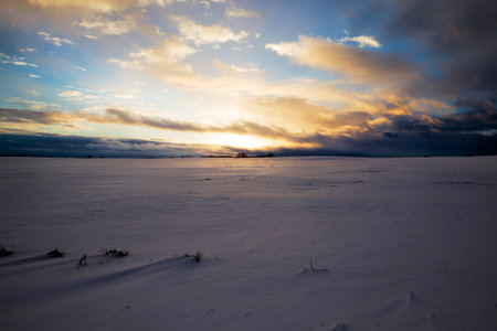 sunset over an agricultural field in winter, the field is covered with a white fluffy layer of snow,...
