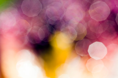 the bright dark spring irises covered drops water and dew after rain, large plan flowers not in focusの写真素材