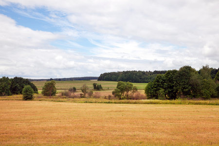 landscape on agricultural fields with yellowed dried grass