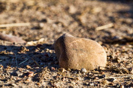 details of fine sand with stones, close-up on a rural road during sunset
