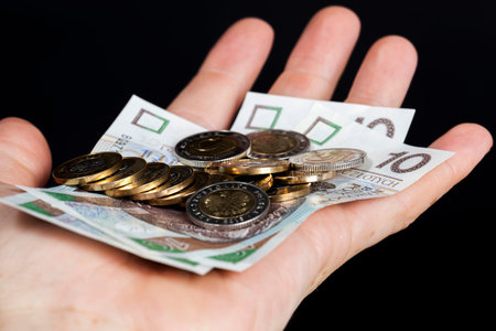 Polish coins close-up, cash European money