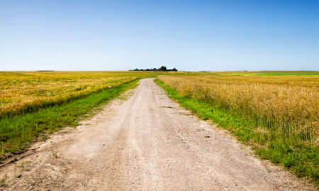 the traveled part of the field resulting in an unpaved roadの写真素材
