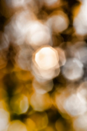 beautiful natural foliage that has changed color in the autumn season, a close-up of a part of the...