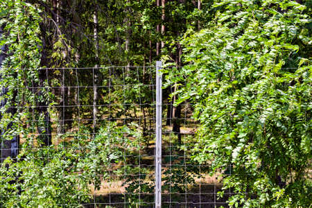 metal fencesの写真素材