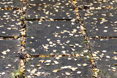 tiles from different types of materials that make the road for traffic and transport, as well as pedestriansの写真素材