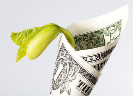 one us dollar paper money close-up, us currency freely convertible us currency along with a bean sprout sprouting through the moneyの写真素材
