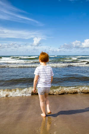 a small child walking on the shoreの写真素材