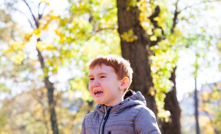 a boy with red hair crying in the autumn Park