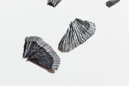 pencil shavings after sharpening, wood debris and parts of pencil lead after sharpening with a...