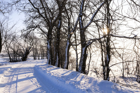 snow-covered winter road for car traffic, frosty snow weather and blue sky, Sunny day on the road,...