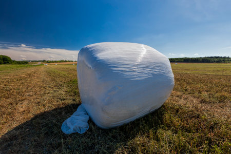 Packed in film grass straw for feeding livestock, real industrial production of forage and feed for cattle and wild animals, hay in film for better food storage, blue skyの写真素材