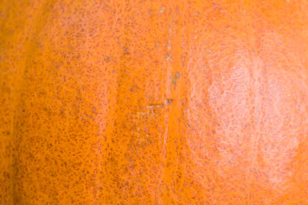 vegetables pumpkin while cooking vegetarian dishes, sweet orange pumpkin divided into pieces on a cutting Board in the kitchen for cookingの写真素材