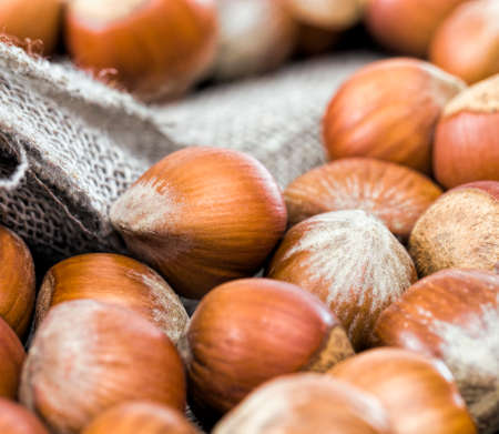 Hazelnut pile tableclothの写真素材