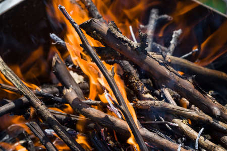 branches burning in the fireの写真素材