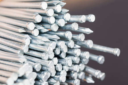 Galvanized steel nailsの写真素材