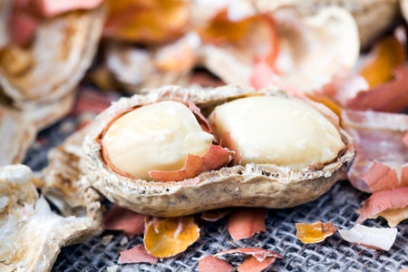 Peanuts in the shell roasted and broken shell, a large amount of healthy nuts