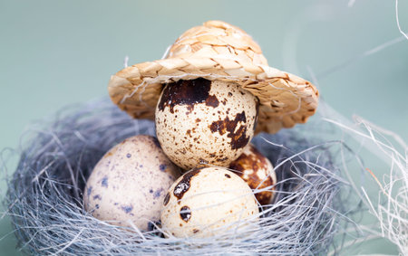 flowering willow branches eggs for Easter celebration, close-up of festive elements