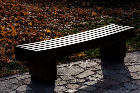 complex wooden bench in the Park, designed for recreation in the Park, close upの写真素材
