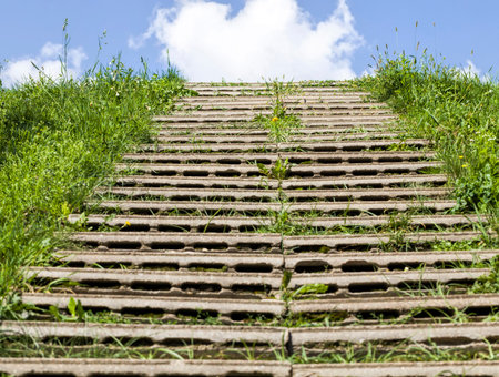 homemade stairs made of concrete slabs with hollow inside, close up , green grass grows between the...