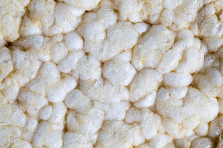 made from rice natural rice loaves are used in dietary nutrition, close up