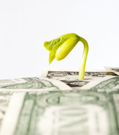 one us dollar paper money close-up, us currency freely convertible us currency along with a bean sprout sprouting through the moneyの写真素材