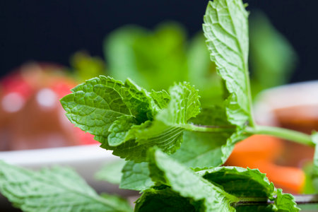 fresh green flavored mint along with other food items and red strawberries, focus on mint leavesの写真素材