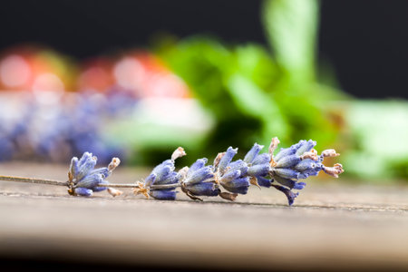 lavender, mint, strawberry and chocolate on the table while cooking, closeup of foodの写真素材