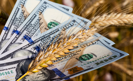 new banknote one hundred us dollars in cash, close-up of us genuine banknotesの写真素材