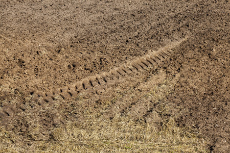 arable agricultural land in terms of cereals products for grain and food production,