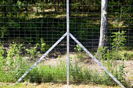 metal fences on the territory of the forest to restrict the movement of wild animals, closeup of the structureの写真素材