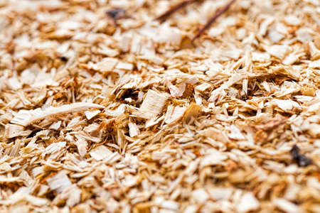 old wooden surface after logging wood, close-up at an industrial enterpriseの写真素材