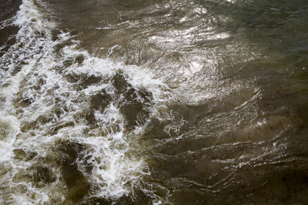 sea with small waves on the surface in the daytime with sunlight and little wind, seascape on the...