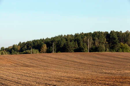 a plowed agricultural field on which electric poles are installed, a forest grows nearbyの写真素材